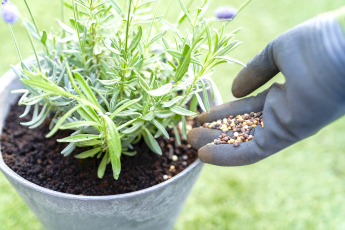 植えてからも肥料をあげたくなったら、生育途中で何度与えても大丈夫！植物に必要な量の栄養分を肥料が自分でコントロールして溶け出してくれます