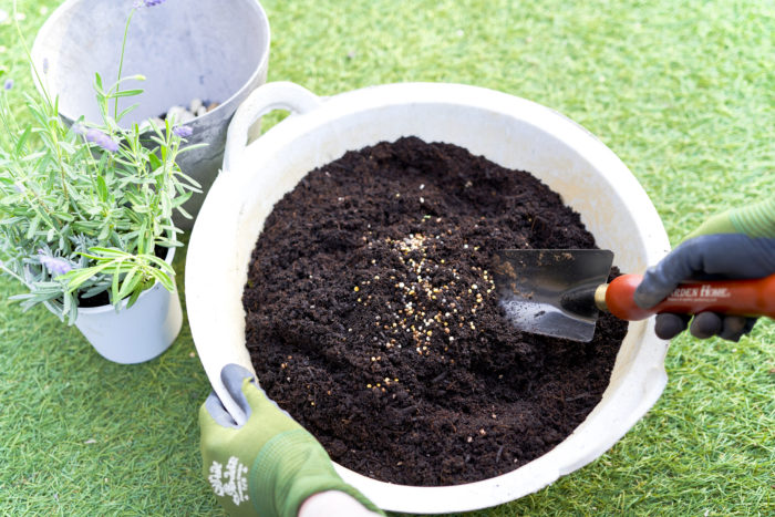 植物を植える時に土に混ぜ込んでおけば、肥料効果が1年間ずっと続きます