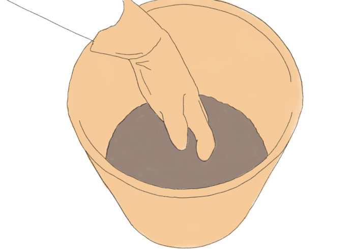 まずは、鉢に土を半分程度まで入れます。バラは根が下に伸びるタイプが多いため、深さのある７号サイズ（直径21㎝）程度の鉢がおすすめです。  この際、元肥としてゆっくり長く効く粒状タイプの肥料を適量土に混ぜ込んでおきましょう（元肥入りのバラ専用培養土なら不要）