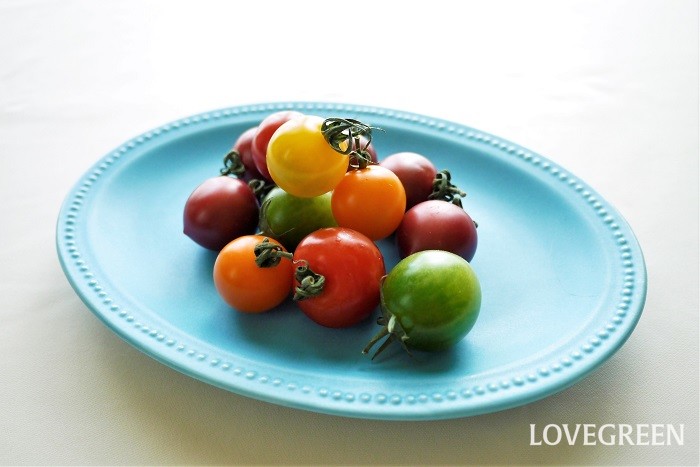 赤の他に黄色やオレンジ、スモーキーな紫色などの珍しい色のトマトです。