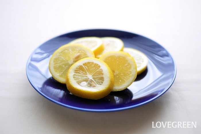 輪切りレモンの保存方法3種！保存期間とコツ