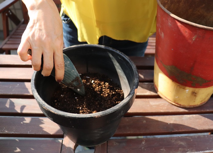 鉢底石の上から、草花用の培養土を入れます。