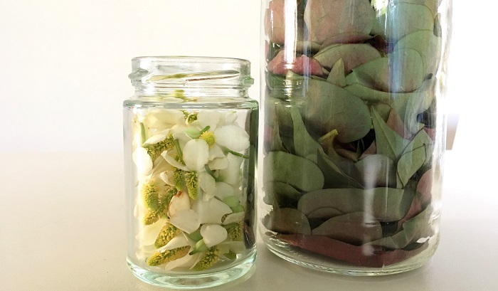 準備しておいた保存瓶にドクダミの花と葉をそれぞれ8分目位まで入れます。