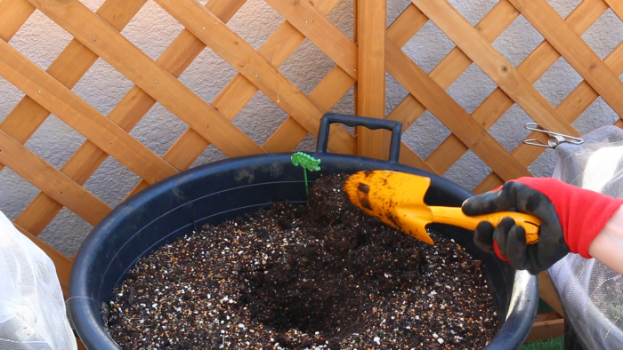 ２　プランターに苗と同じくらいの穴を開け、苗を軽く手で押さえ根鉢を崩さないように植え付けます。  野菜の苗は根を傷つけないように優しく植え付けるのがポイントです。