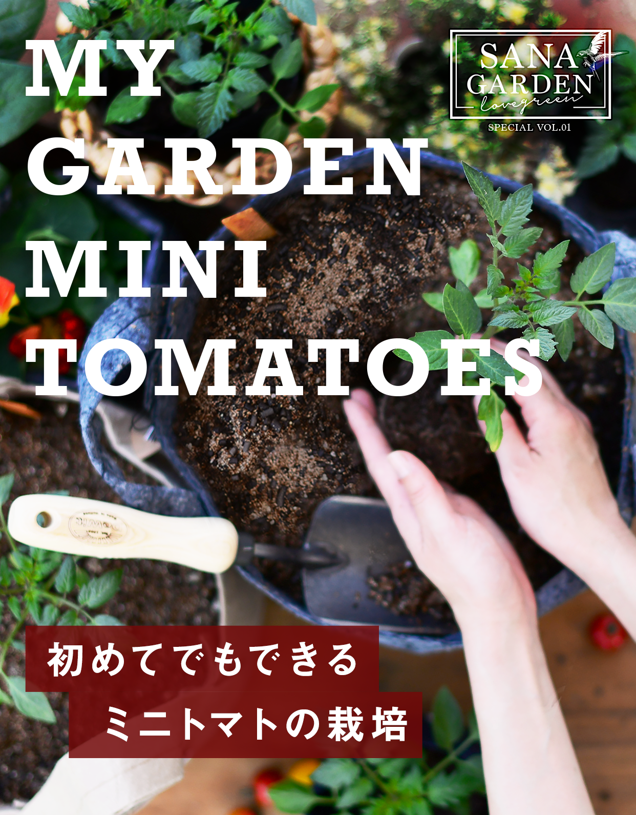 MY GARDEN MINI TOMATO 初めてでもできるミニトマトの栽培